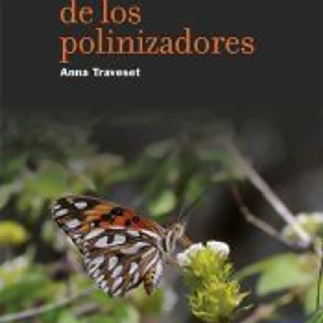 La crisis de los polinizadores 1