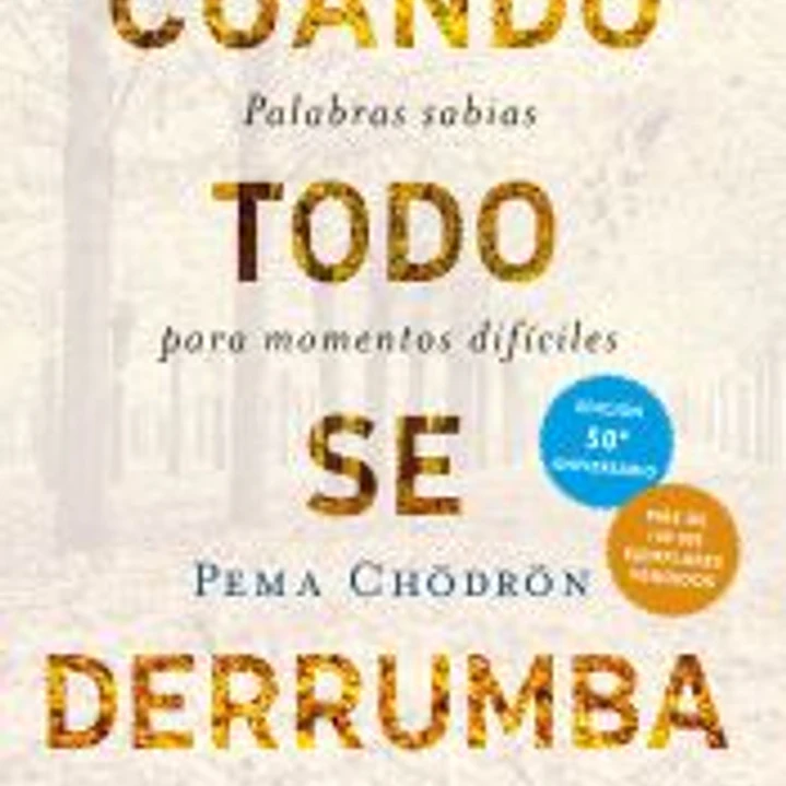 Cuando todo se derrumba 1