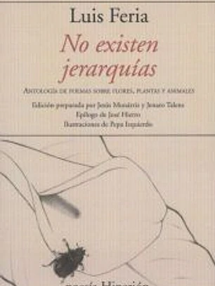 NO EXISTEN JERARQUIAS
