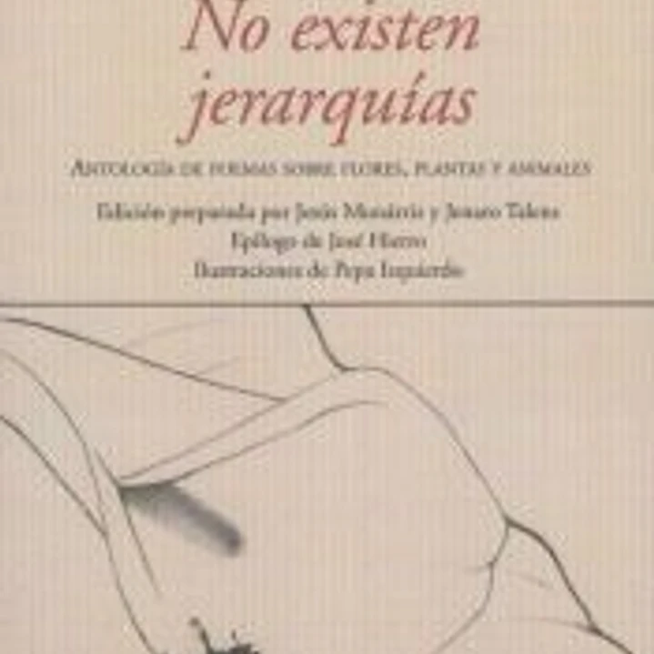 NO EXISTEN JERARQUIAS 1