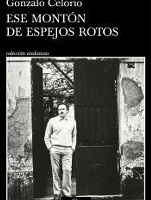Ese montón de espejos rotos