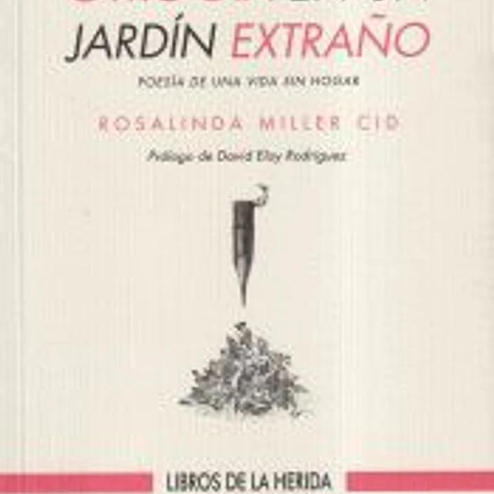 Otro día en un jardín extraño 1