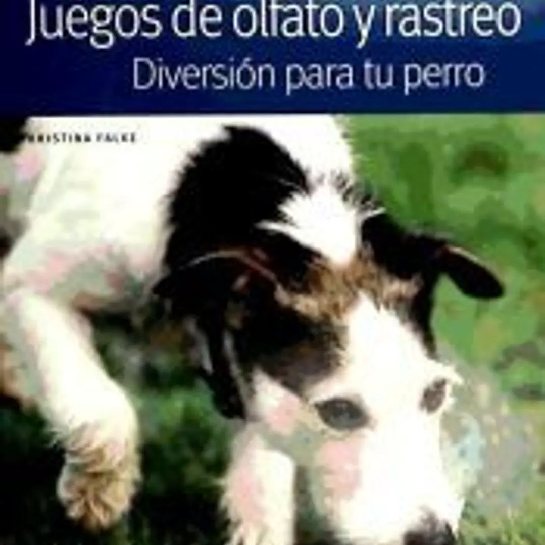 Juegos de olfato y rastreo. Diversión para tu perro 1