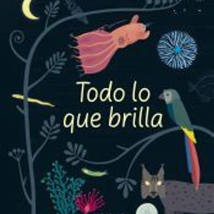 Todo lo que brilla 1