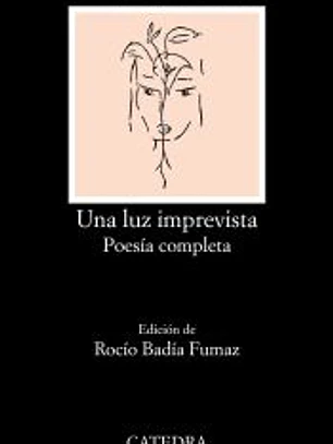 Una luz imprevista