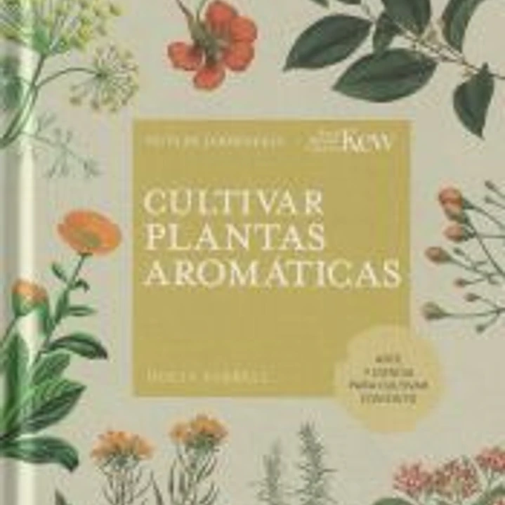 Cultivar plantas aromáticas 1