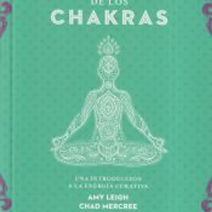 El pequeño libro de los chakras 1