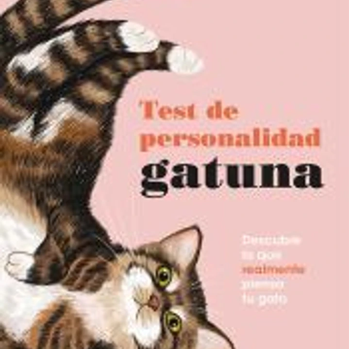 Test de personalidad gatuna 1