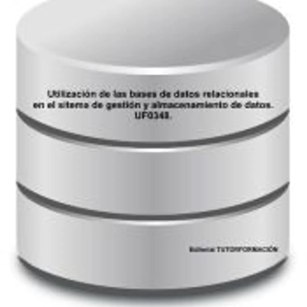 Utilización de las bases de datos relaciones en el sistema de gestión y almacenamiento de datos. UF0348. 1