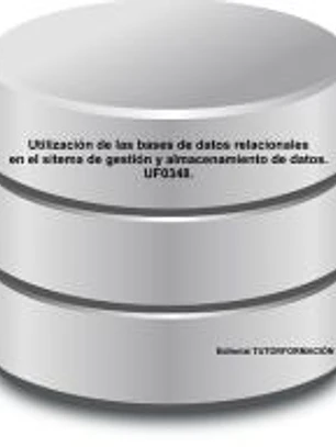 Utilización de las bases de datos relaciones en el sistema de gestión y almacenamiento de datos. UF0348.