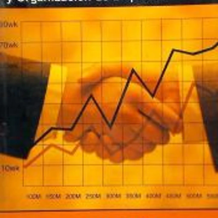 Economía y organización de empresas, Bachillerato 1