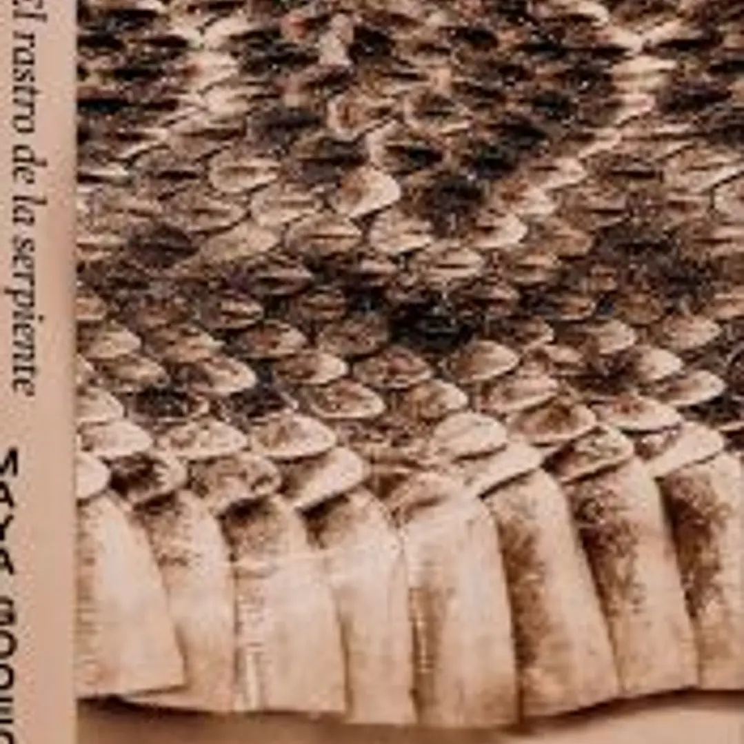 El rastro de la serpiente / The Serpent's Trail 1