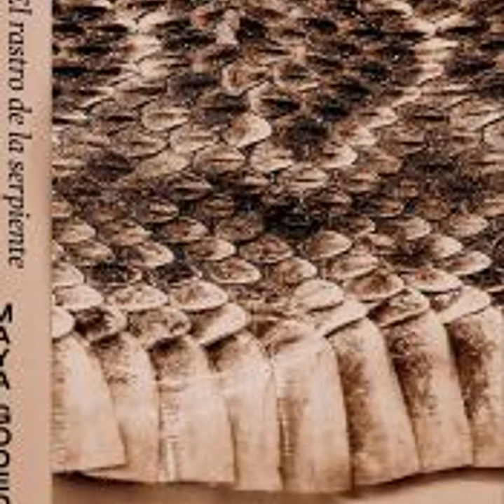 El rastro de la serpiente / The Serpent's Trail 1