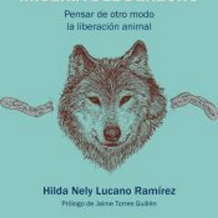 Miseria del derecho 1