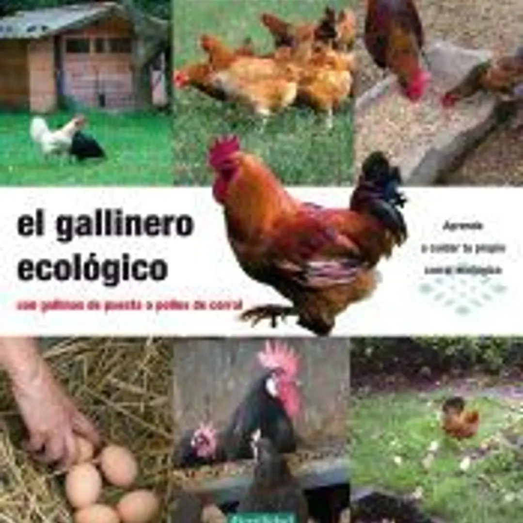 El gallinero ecológico 1