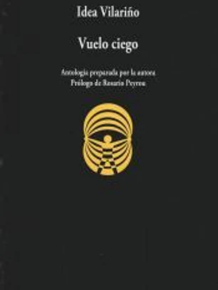 VUELO CIEGO