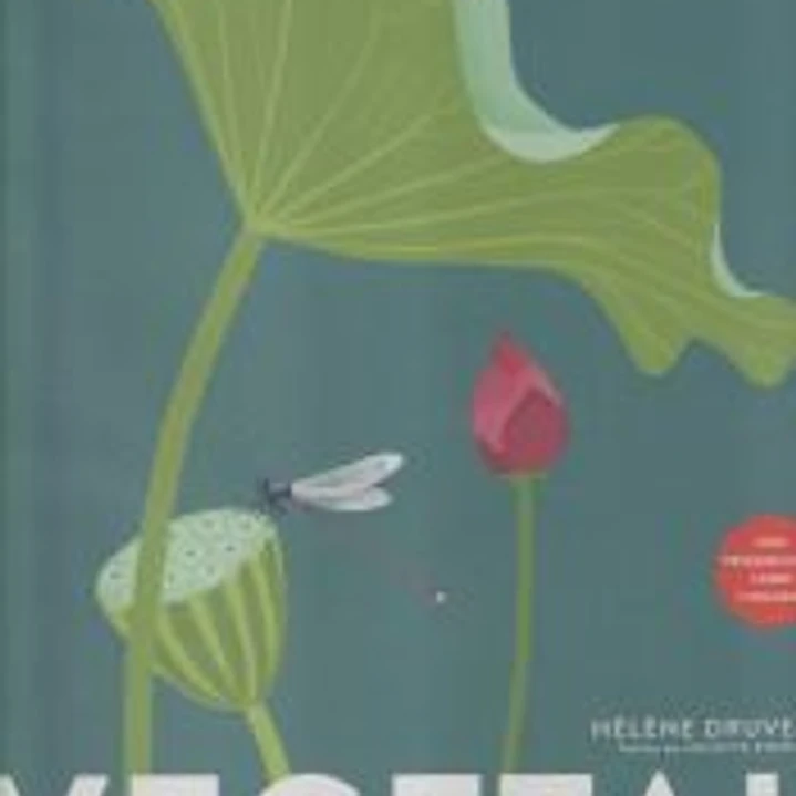 Vegetal 1