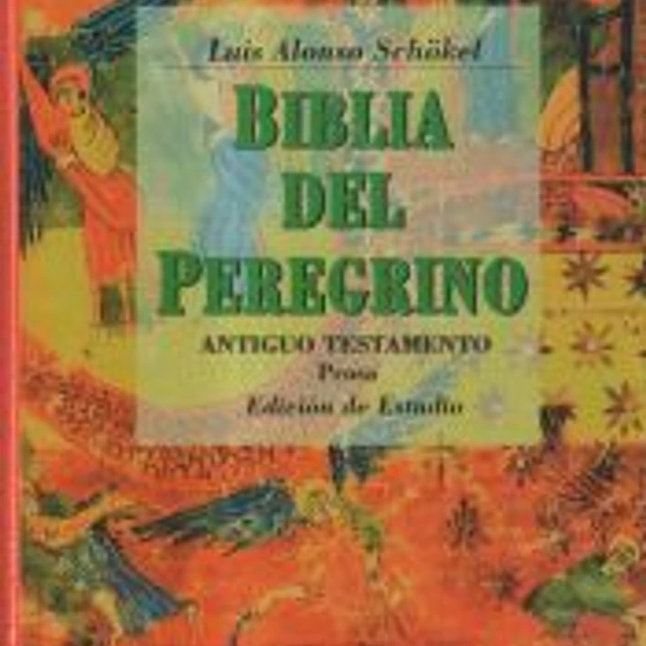 ESTUDIO.BIBLIA PEREGRINO.VOL.1 1