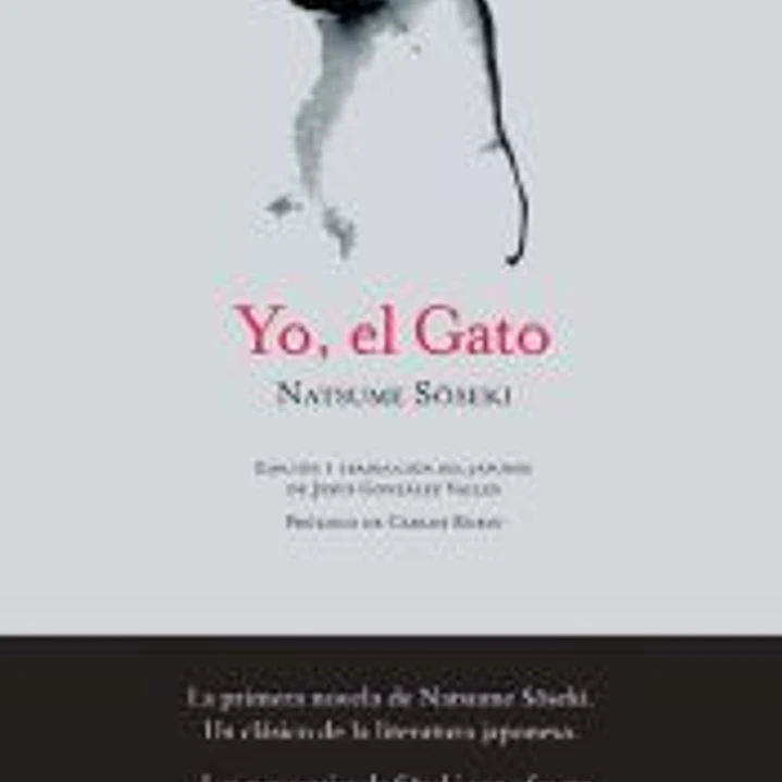 Yo, el Gato 1