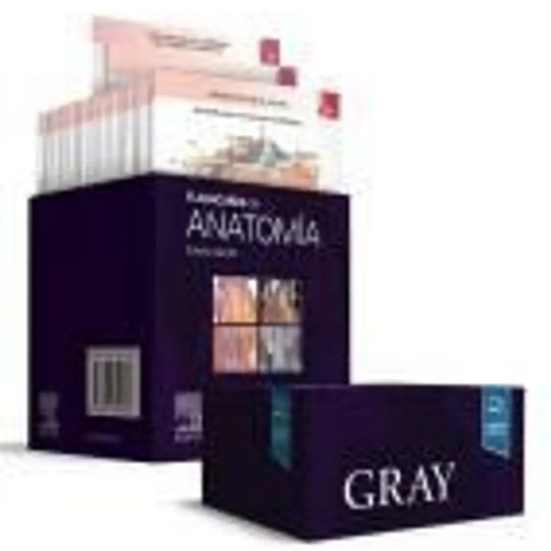 Gray. Flashcards de Anatomía 1