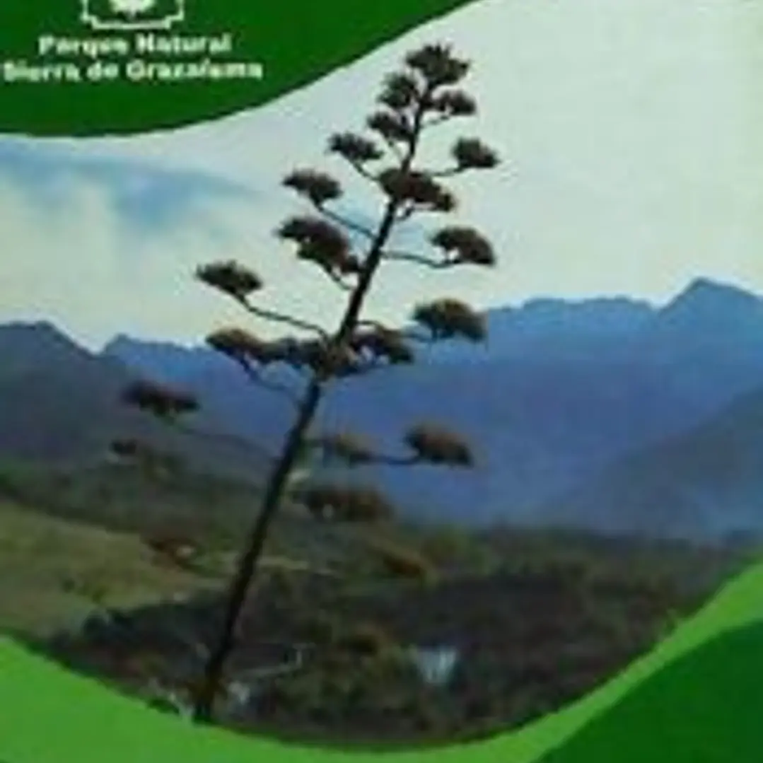 Parque Natural Sierra de Grazalema 1
