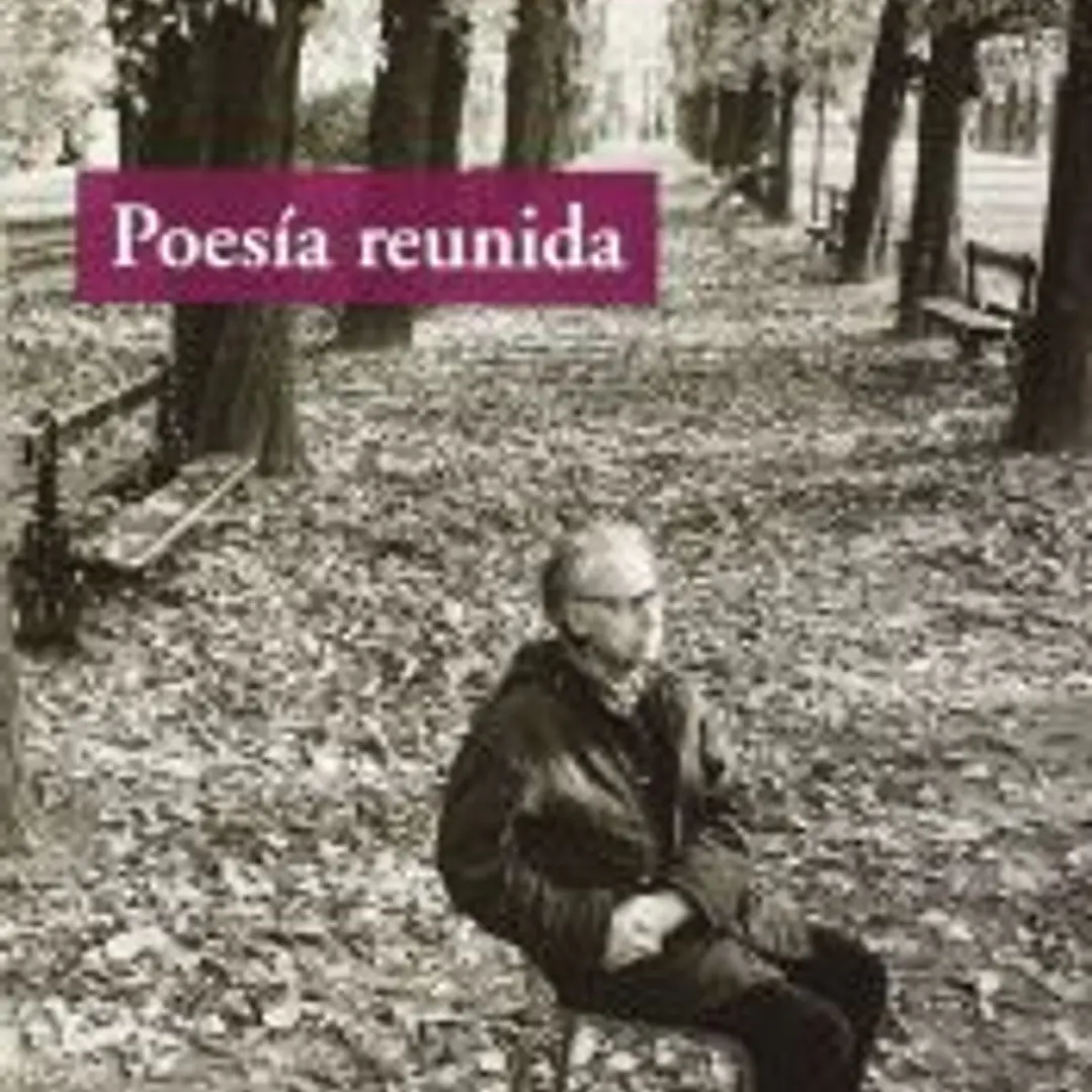 POESIA REUNIDA (CALVEYRA) 1