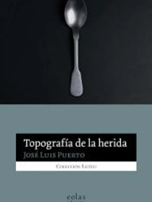 Topografía de la herida