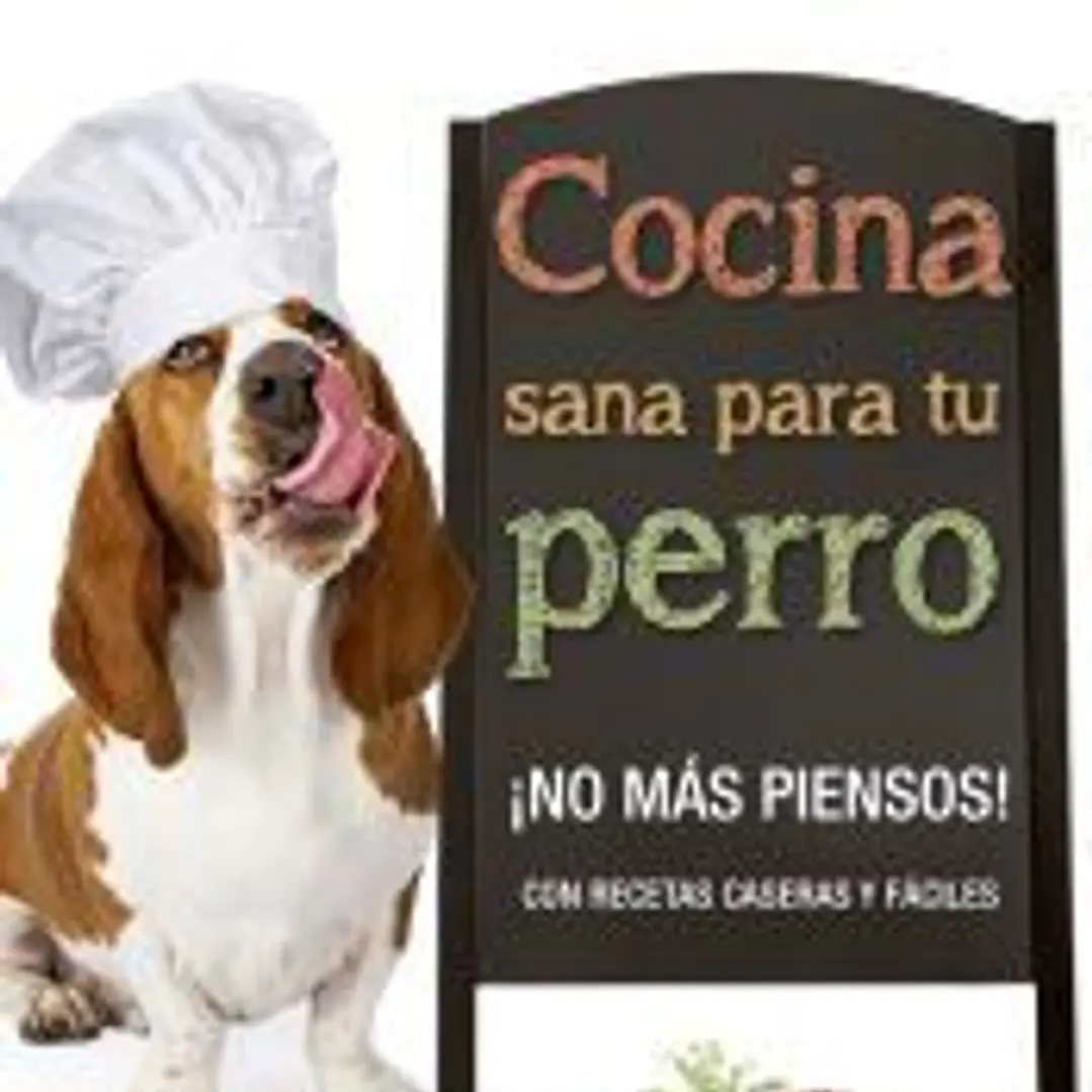 Cocina sana para tu perro 1