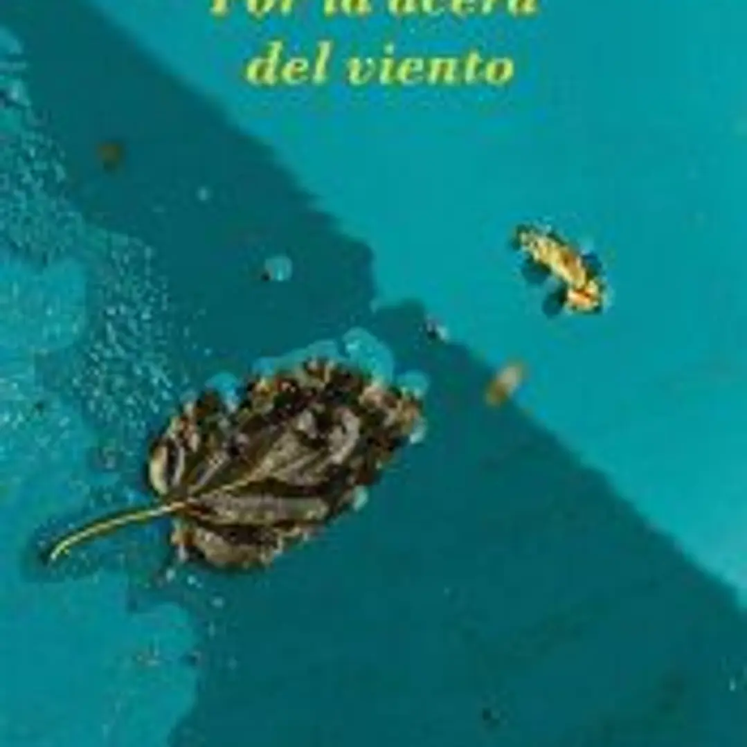 Por la acera del viento 1