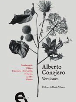 Versiones