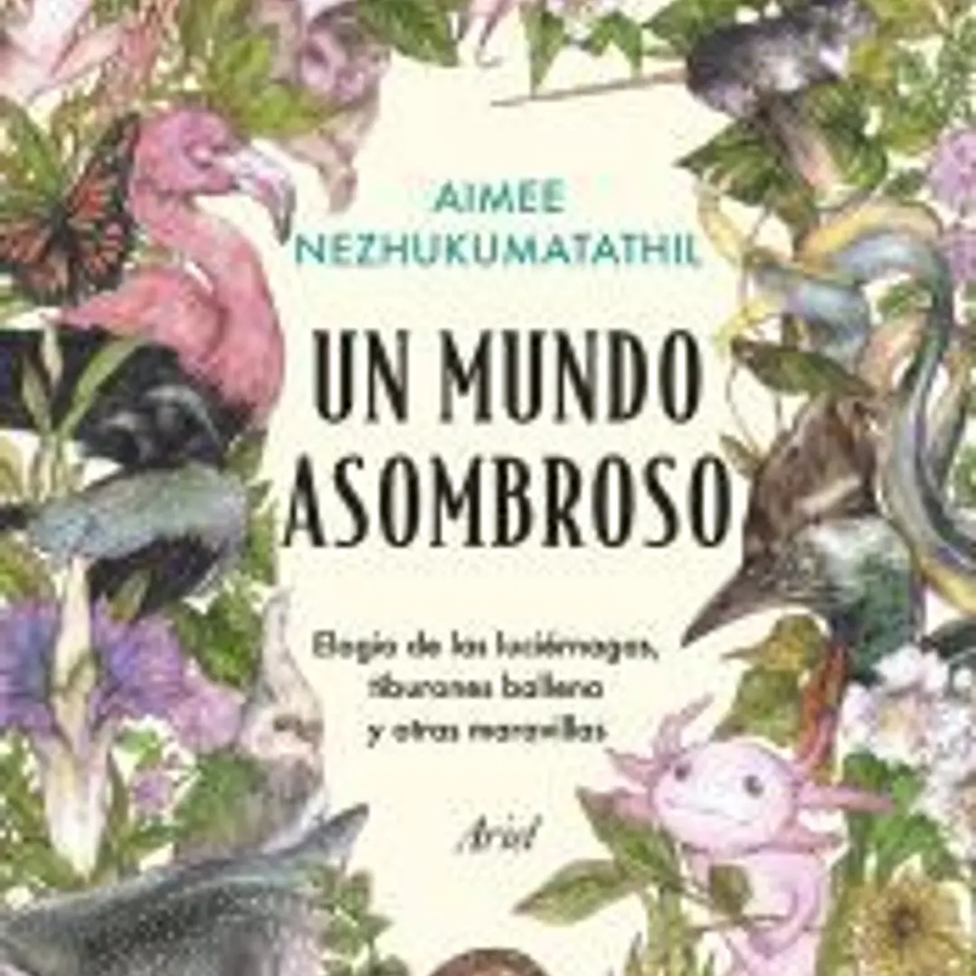 Un mundo asombroso 1