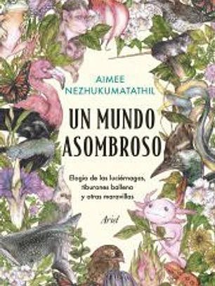 Un mundo asombroso
