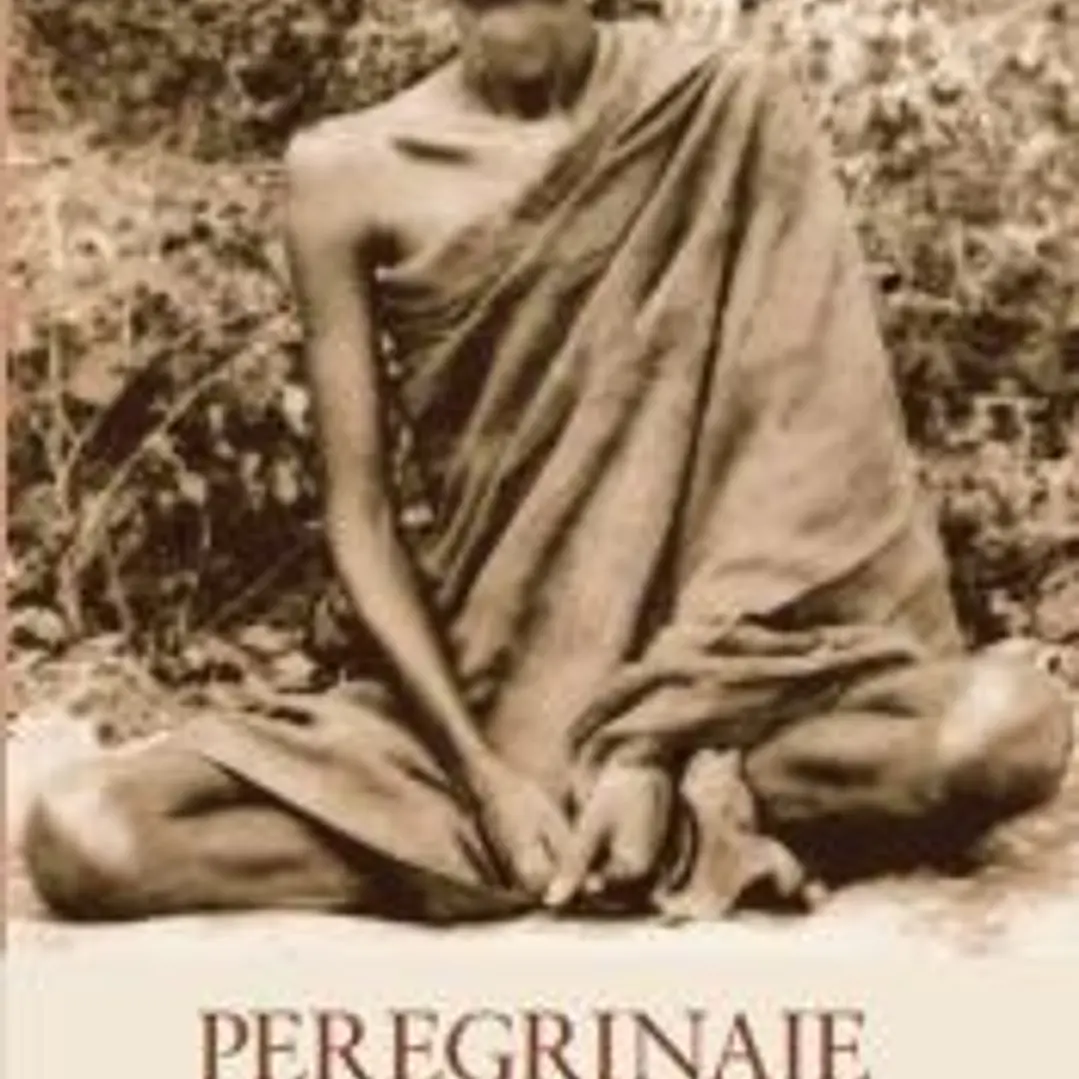Peregrinaje de un yogui 1