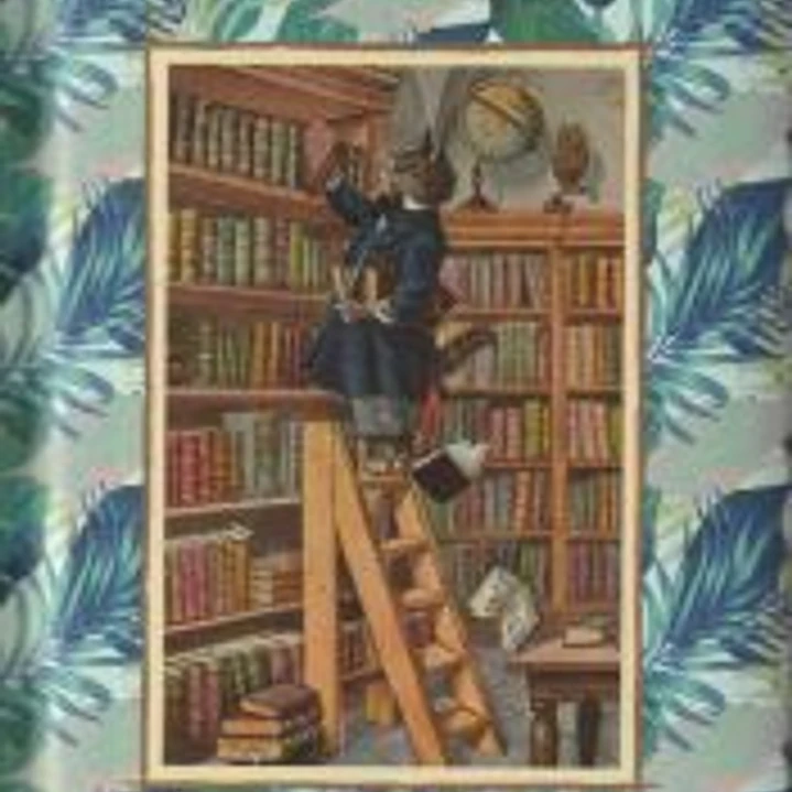 El pequeño libro de los Gatos 1