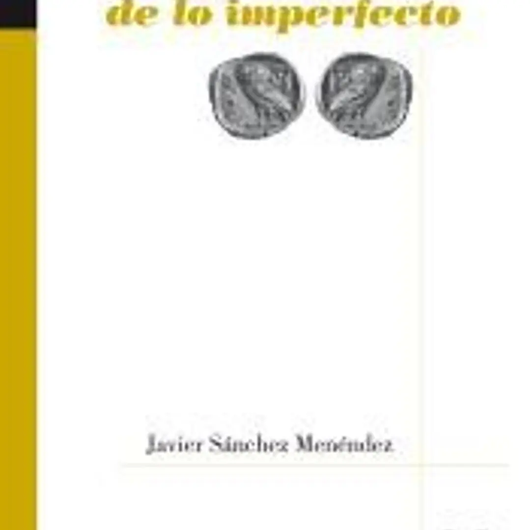 La alegría de lo imperfecto 1