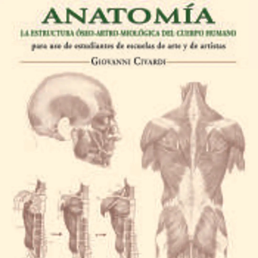 Láminas de anatomía: la estructura óseo-artro-miológica del cuerpo humano 1