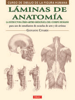 Láminas de anatomía: la estructura óseo-artro-miológica del cuerpo humano