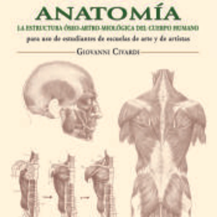 Láminas de anatomía: la estructura óseo-artro-miológica del cuerpo humano 1