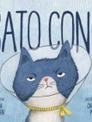 Gato Cono