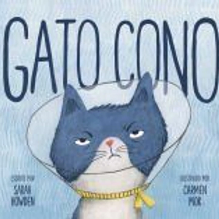 Gato Cono 1