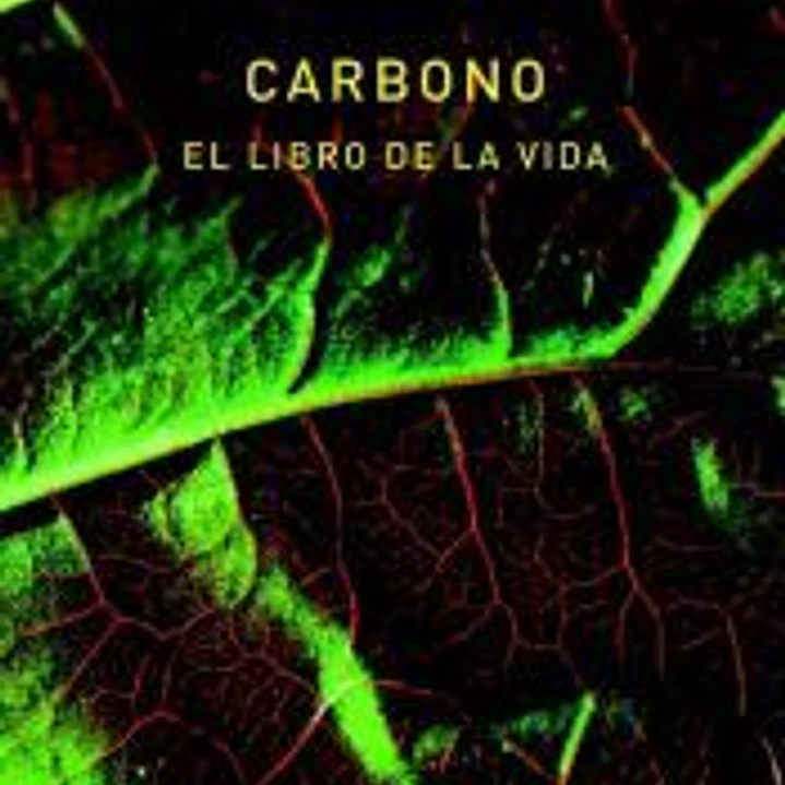 Carbono 1