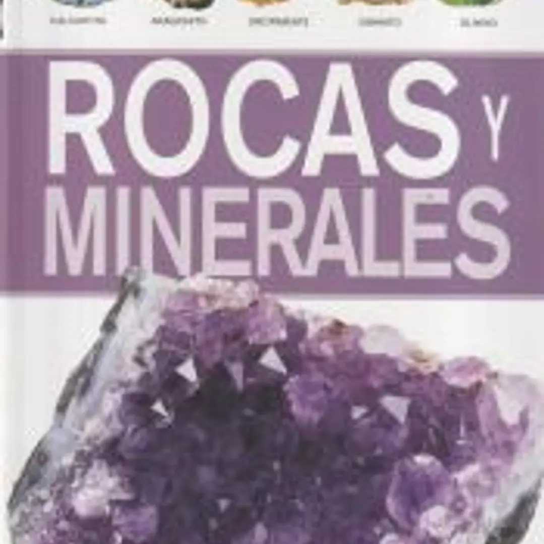 Rocas y minerales : guías de la naturaleza 1