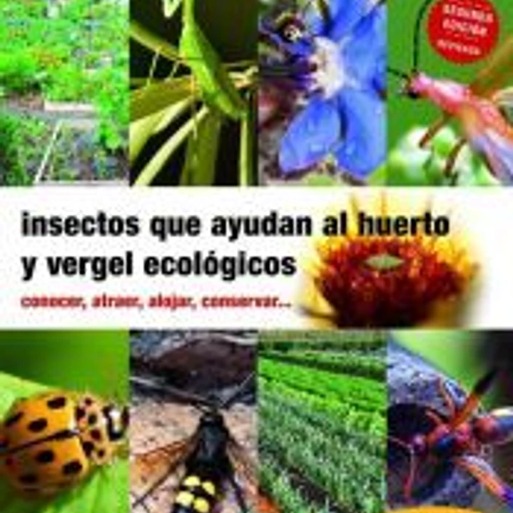 Insectos que ayudan al huerto y vergel ecológicos 1