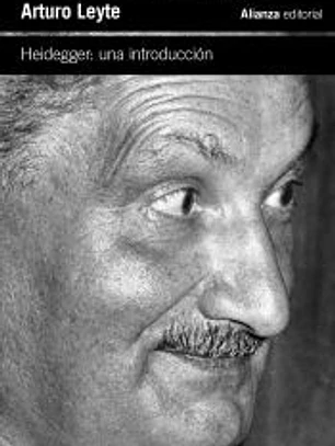 Heidegger: una introducción