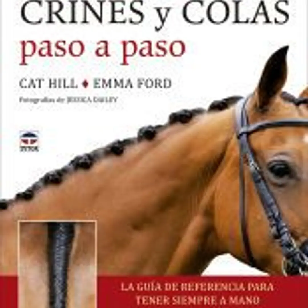 Trenzado de crines y colas paso a paso 1