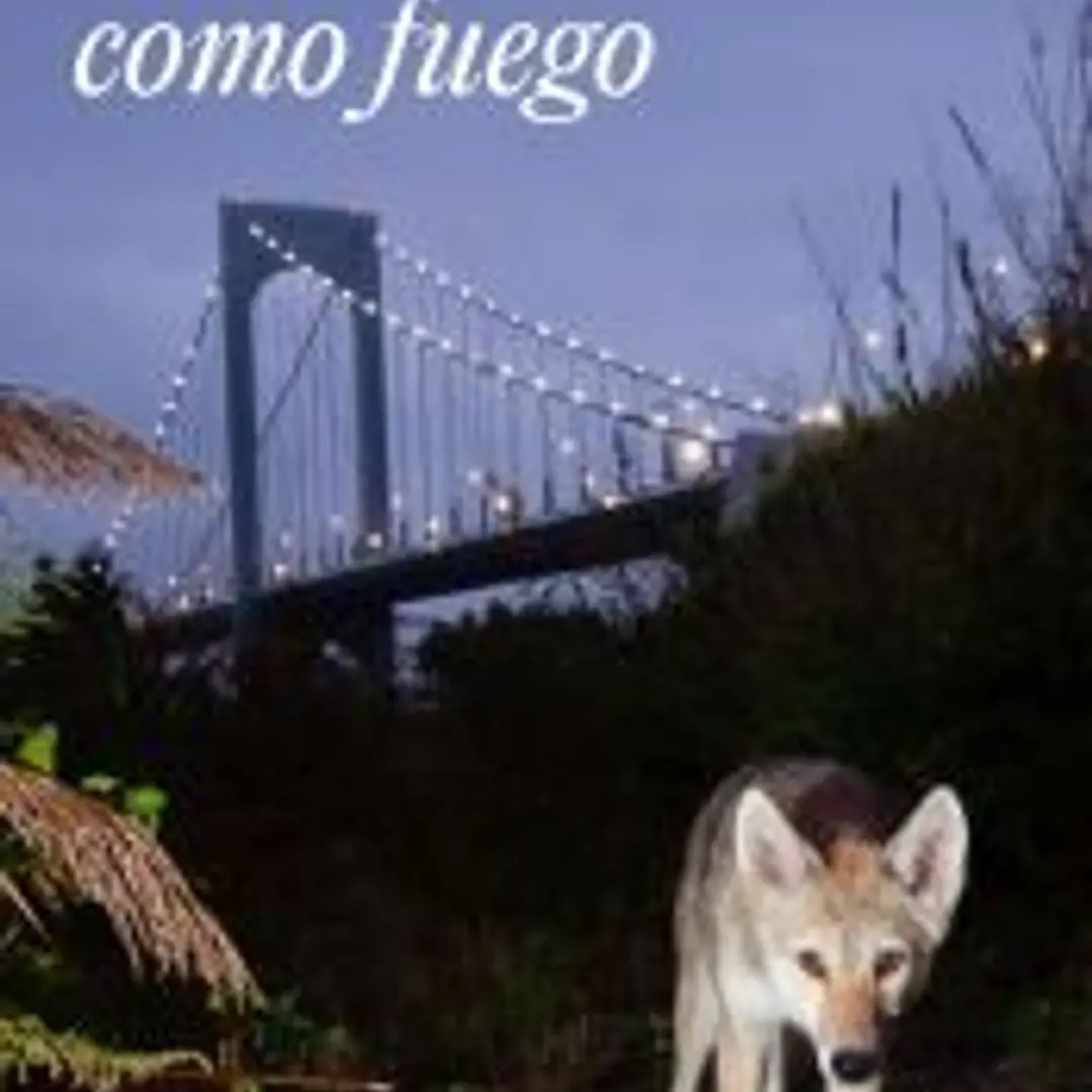 Volverán como fuego 1