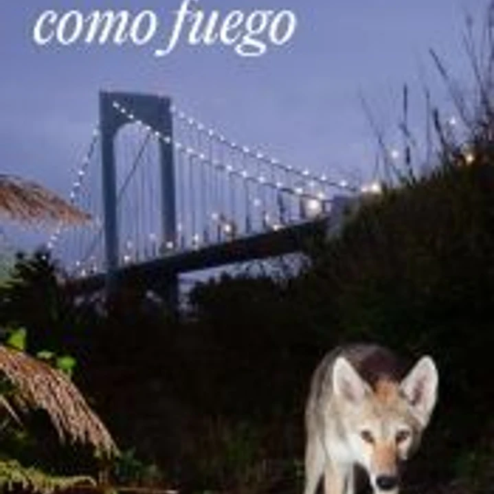 Volverán como fuego 1