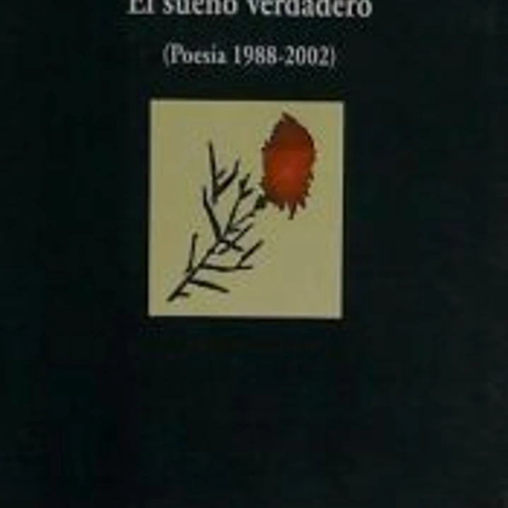 El sueño verdadero 1
