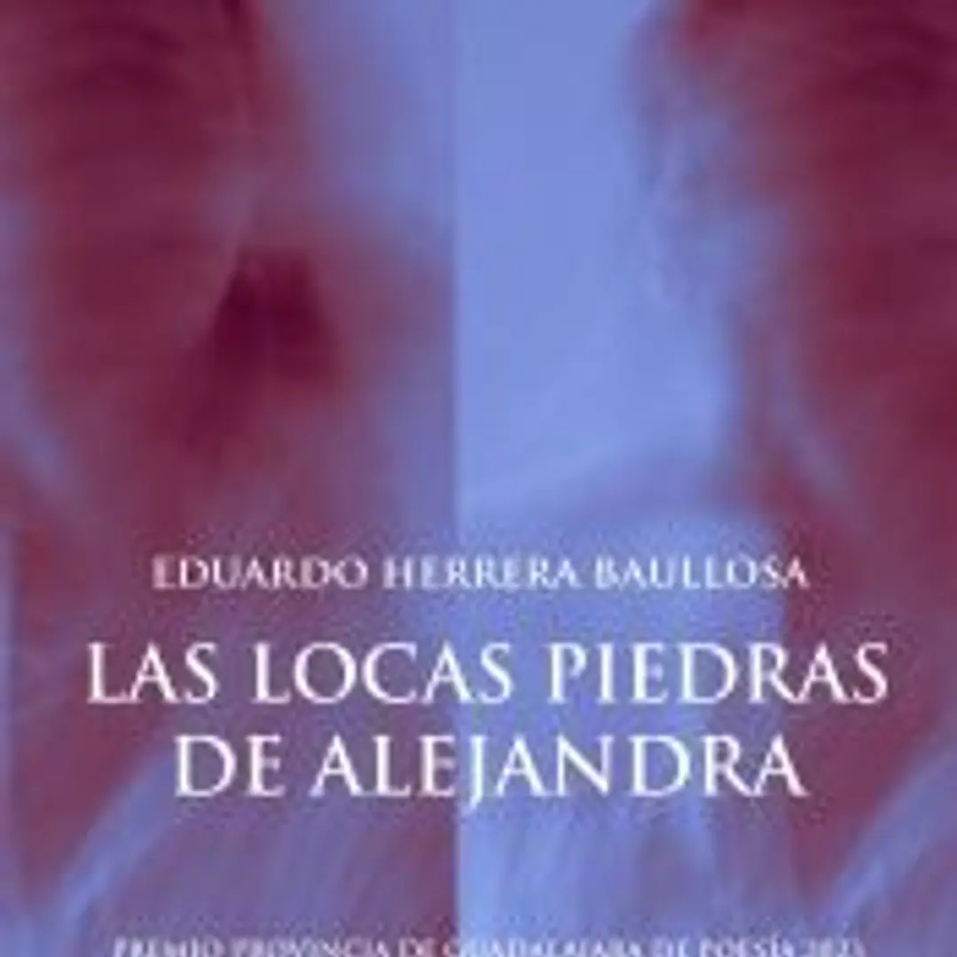 Las locas piedras de Alejandra 1