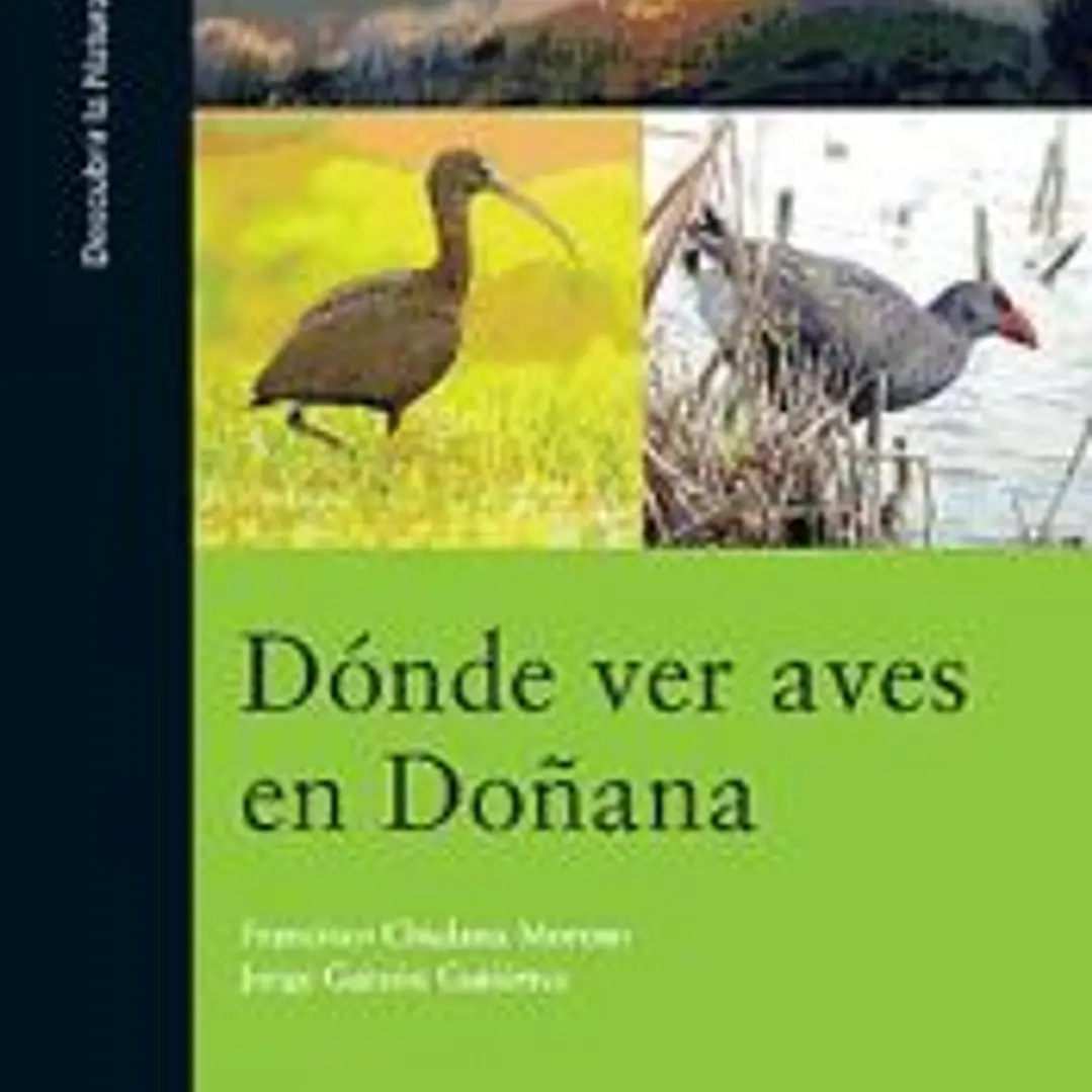 Dónde ver Aves en Doñana 1